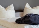 Apartmenthaus 'Kiki', Penthaus-Wohnung 7 'Ausguck 21'