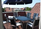 Strandkrabbe