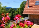 Tour durch das 5-Sterne Ferienhaus Lotus