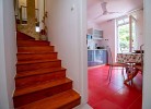 Apartment Un Chat