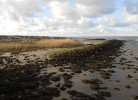 Ferienhaus Strandschnecke