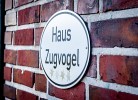 Zugvogel EG