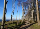 Ostsee Idyll  Bungalow 4 Robbe
