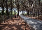 Le Gorette Cecina Easy Camping Village Lodge Deluxe Family