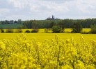 Fewo Waldblick 1