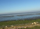 Barbara am Meer