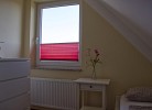Inselblume 07 - Ferienwohnung mit Hund an der Reiterkoppel