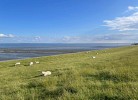 TIDELAND 2