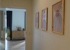 REFUGIUM 5