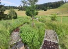 Ferienwohnung Seeblick mit Balkon - Mein Schwarzwaldhäusle