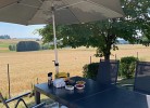Das gelbe Landhaus