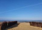 Frische Brise 12.11