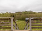 Naturverliebt am Diemelsee - Waldblick