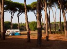 Ferienanlage Capitol Blu Resort 3pax