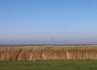 Frische Brise 15.02