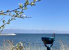 FEHMARN AHOI