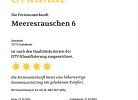 MEERESRAUSCHEN 6