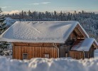 Hoizhaus