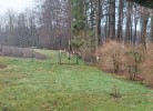 FeWo unter Reet am Wald Rügen