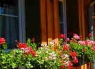 Ferienhaus Lilie Hof Stallegg