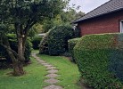 Ferienhaus Trientje