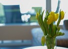 Haus Meerdüne im Dünenpark II, Wohnung 8 'Deck'