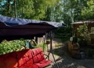 Ferienwohnung Sonnenschein
