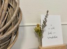 BLICK 20