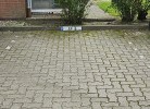 Fewo DeichSchnack
