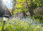 friends & family Domizil Willingen