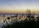 Zum Reetdachhaus am Haff  Möwennest