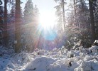 Panoramablick Hohegeiß Sauna/Hallenbad