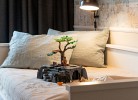 Appartmenthaus 'Südstrand 44', Wohnung 1 'mybalticpearl'