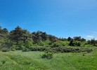 Frische Brise 05.05