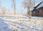 Herzoglicher Forsthof Stolpe