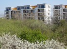 Birkenhof Fewo 4