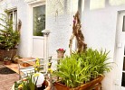 Spatzennest