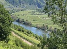 Moselbackes