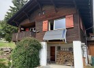 Revier Silberdistel im Schwettiberg