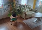 Blockbohlenhaus Koserow 600 Meter zum Strand