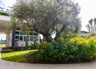 Ferienanlage Capitol Baia Elite