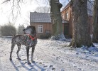 Herzoglicher Forsthof Stolpe