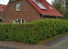 Friesenhaus inkl. Sauna nähe Norddeich