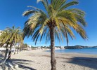 A3016 Apartment Cala Fornells