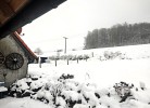 Ferienhaus Flechtdorfer Waldblick