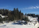 Feldberg Kuschelnest - Residenz Grafenmatt - Mein SWH