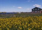 Ferienhaus Taja Niebüll mit Sauna