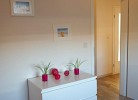Inselblume 05 - Große Ferienwohnung in Landkirchen mit Hund