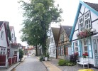 Strandmuschel