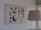 Inselblume 37 - Ferienwohnung mit Meerblick im Stranddistelweg 58
